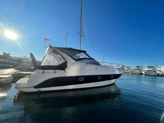 Sessa C35